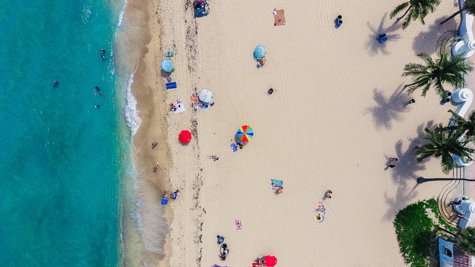 aerial photography of people gathering on shore